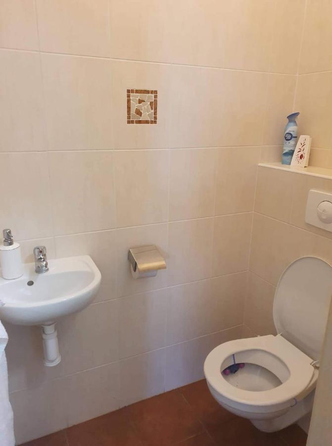 Villa Slupecna Lipno nad Vltavou Εξωτερικό φωτογραφία